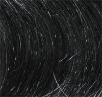 Sonderpreis: 1 Clip and Go Tresse eingefärbt in schwarz 1 70 cm
